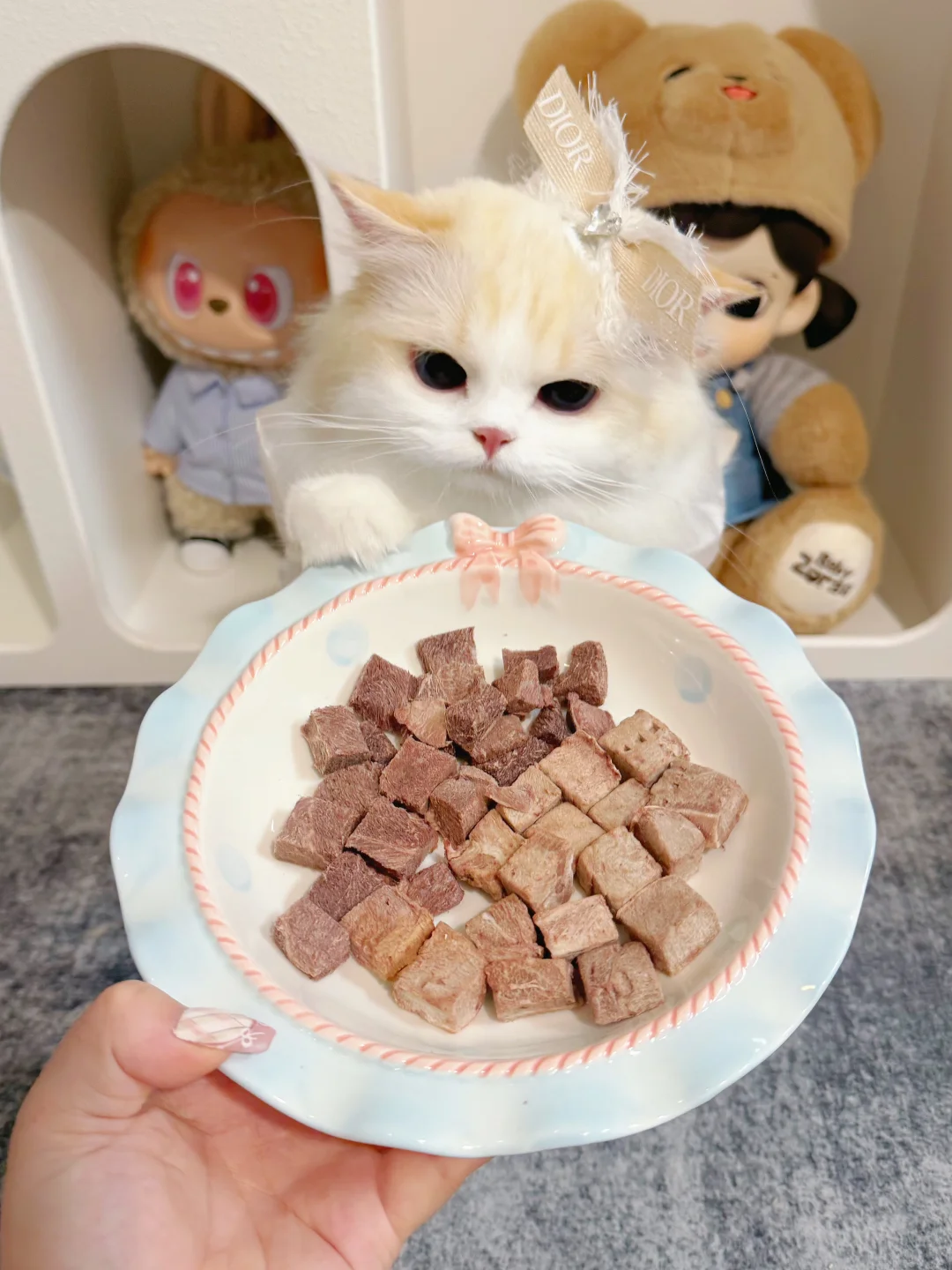 慈母真多败咪啊！！！