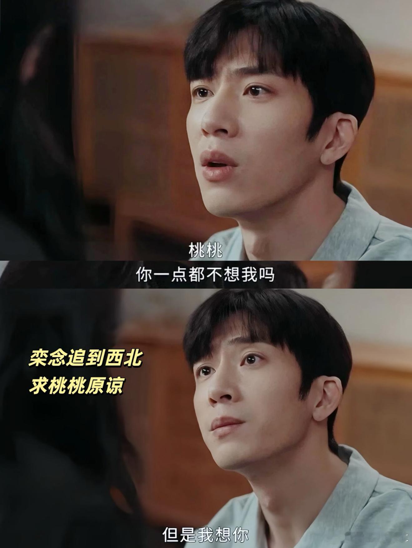 栾念为了见尚之桃飞西北20次我说实话，你纯活该，栾念，你有话不好好讲，让桃桃也很
