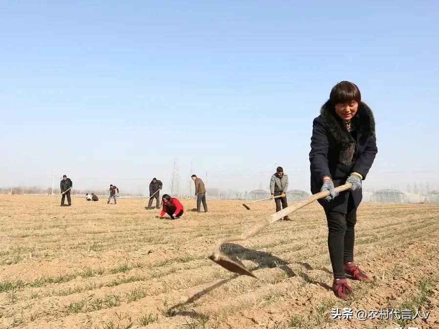 “不怕正月十三雨，就怕正月十三晴”，正月十三晴天有啥好怕的？
 
今天正月十三，