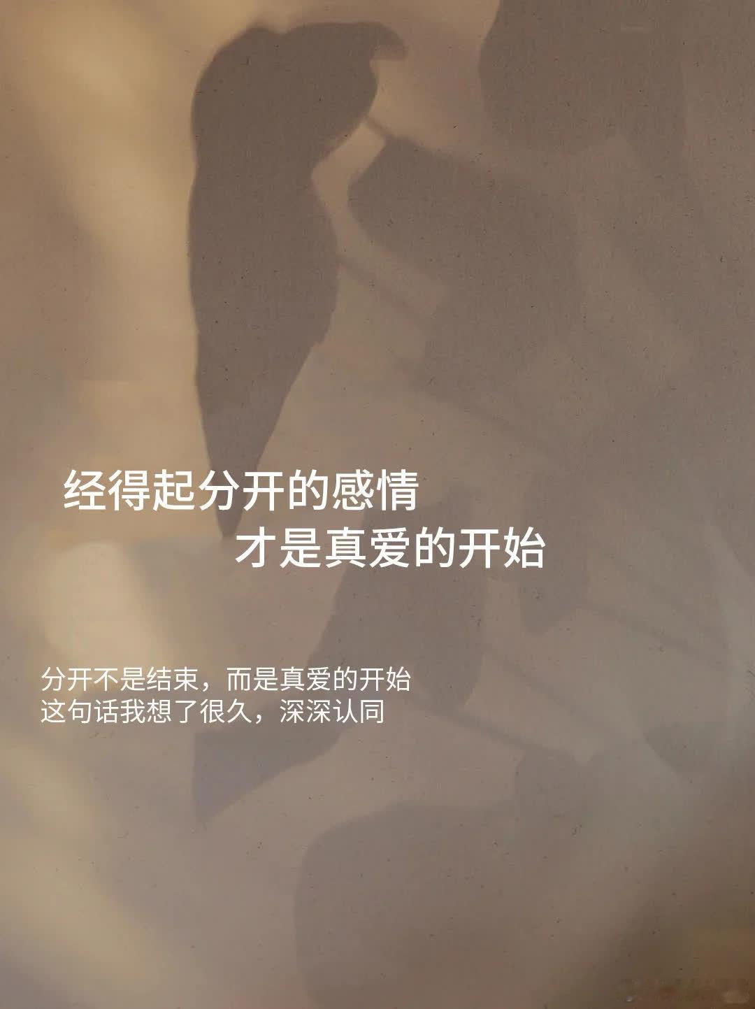 “分开后，我才明白什么是爱。”  分开后的这段时间，我才开始认真思考什么才是爱。