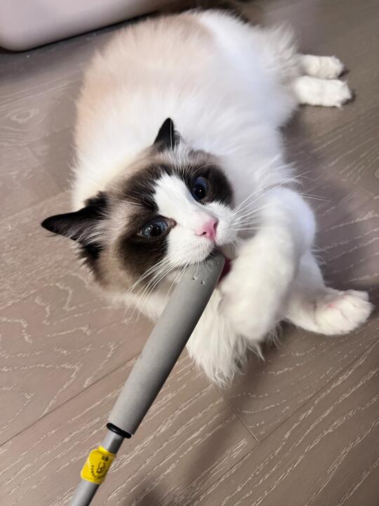 你永远不知道明天和意外哪个会先来