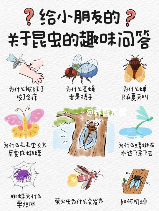 夏日昆虫趣味问答，培养娃的观察力和好奇心