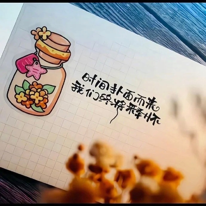 ✨人生里总有一些阶段，看起来没有明显进展。可就像夜晚看不见许多事物的轮廓，并不代