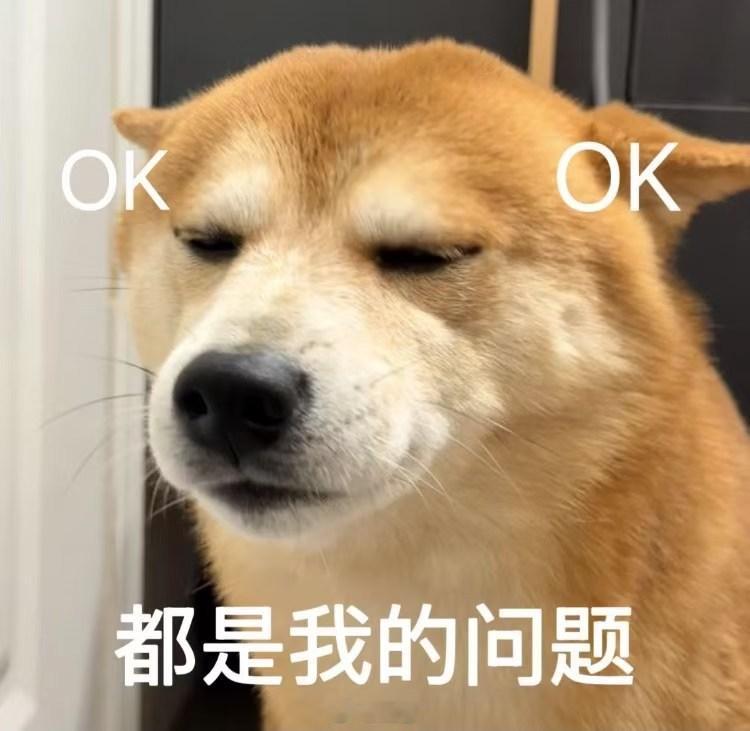 的确是想换新锅了
