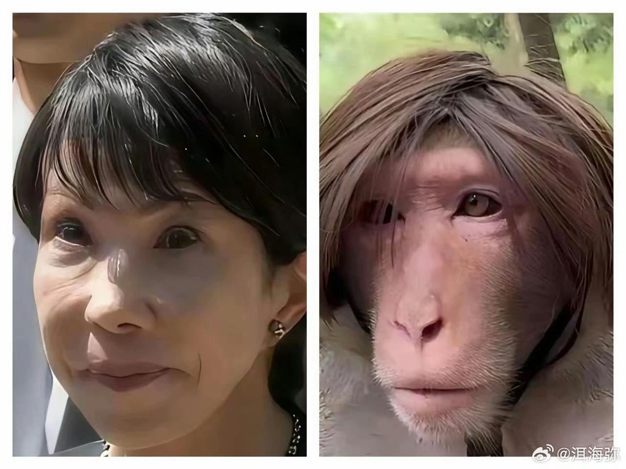 合格的妈妈桑！[呲牙][呲牙][呲牙][呲牙]