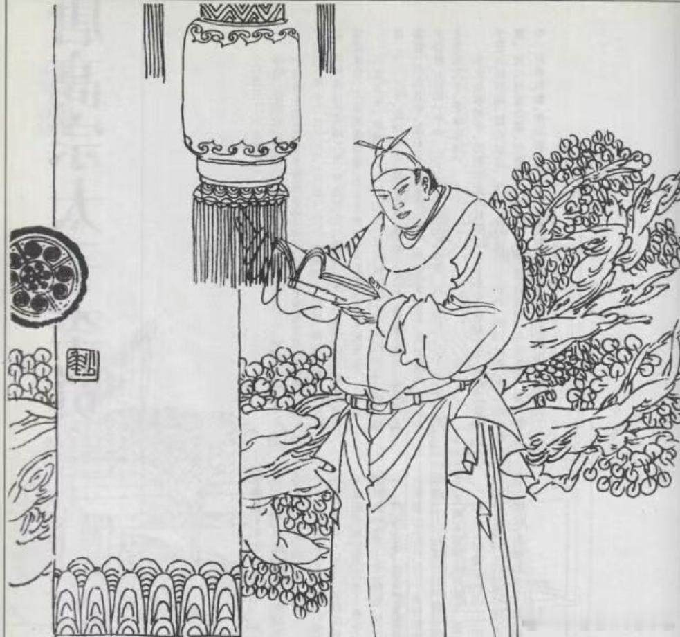 历史 我是李泰，字惠褒，唐太宗李世民嫡次子，曾是大唐最受宠的皇子。世人多知父亲开