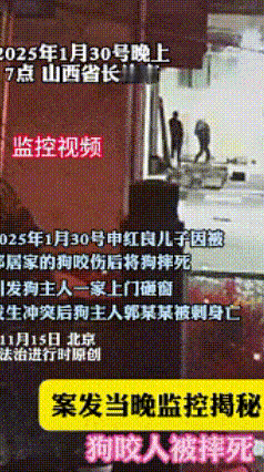 山西狗咬人那事儿
邻居家的监控，帮了申某一家大忙！
监控里几个黑色身影轮流上去砸