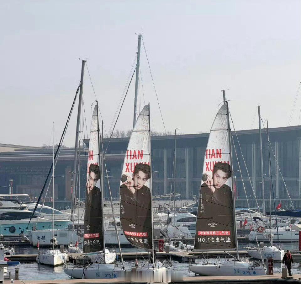 田栩宁青岛帆船应援！排面给足了