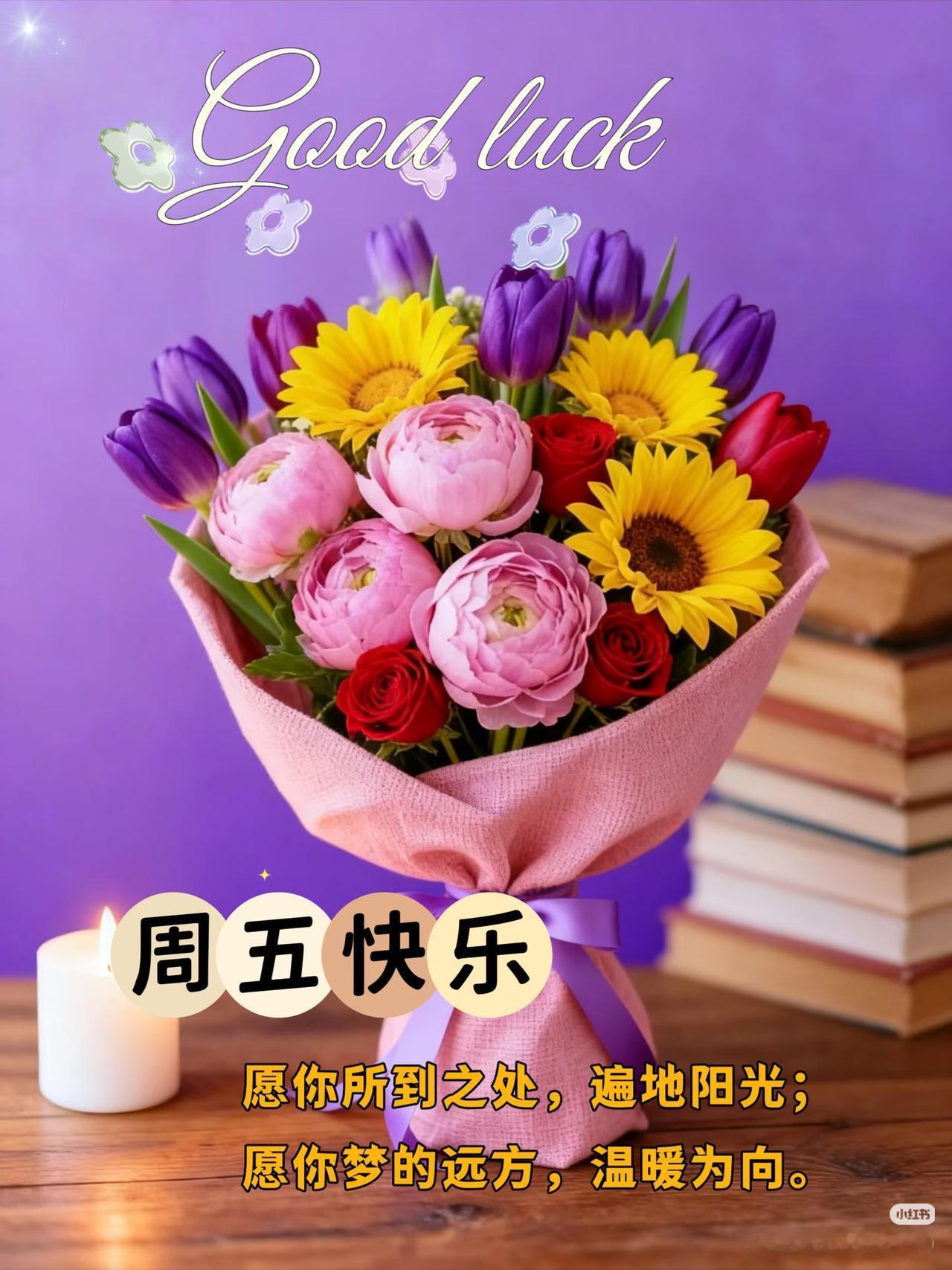 昨天的一切烦恼都已过去，如果无能为力，那就一切顺其自然，如果心无所待，那就随遇而