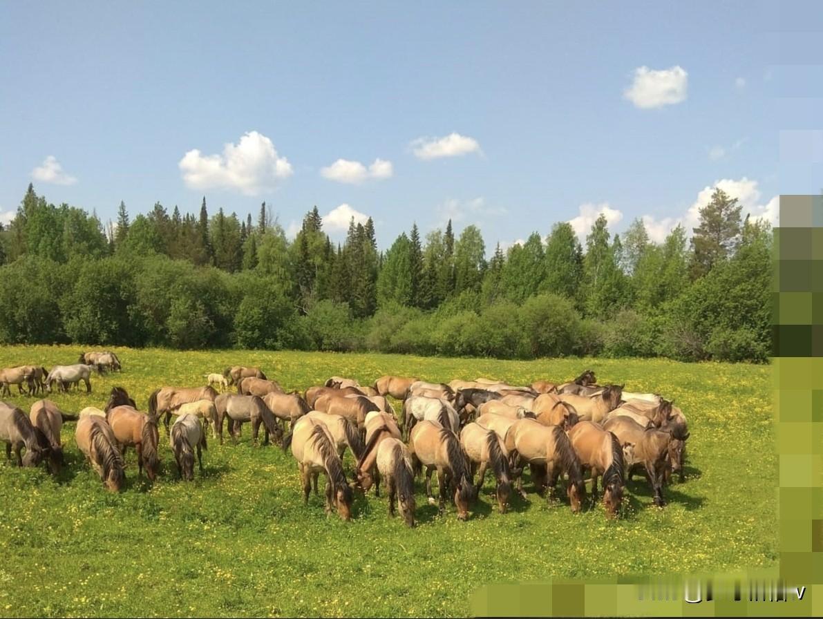 我新发布的内容被官方推荐啦！👍你也快来发布一条吧！带记录真实生活话题，更容易被