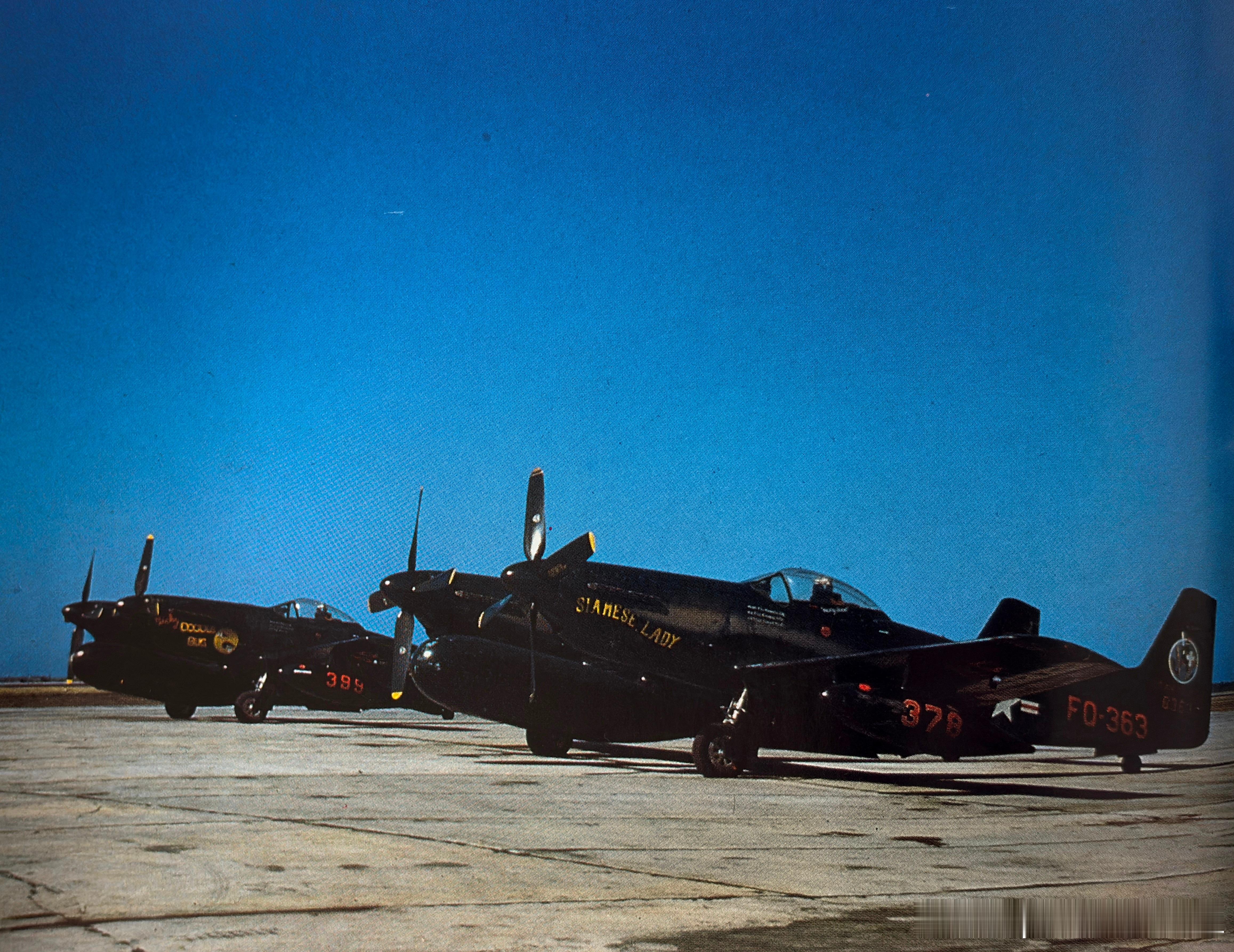 Siamese Lady和Doodle Bug是50年代驻扎在日本Itazuke