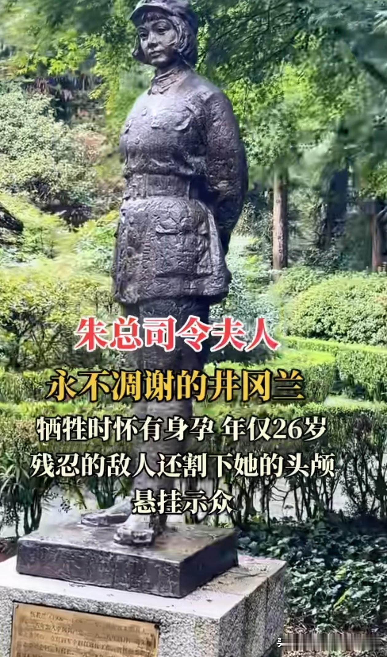 朱总司令，
一生独爱兰花！
是对伍若兰的思念！
她叫伍若兰，
是朱德总司令的爱人