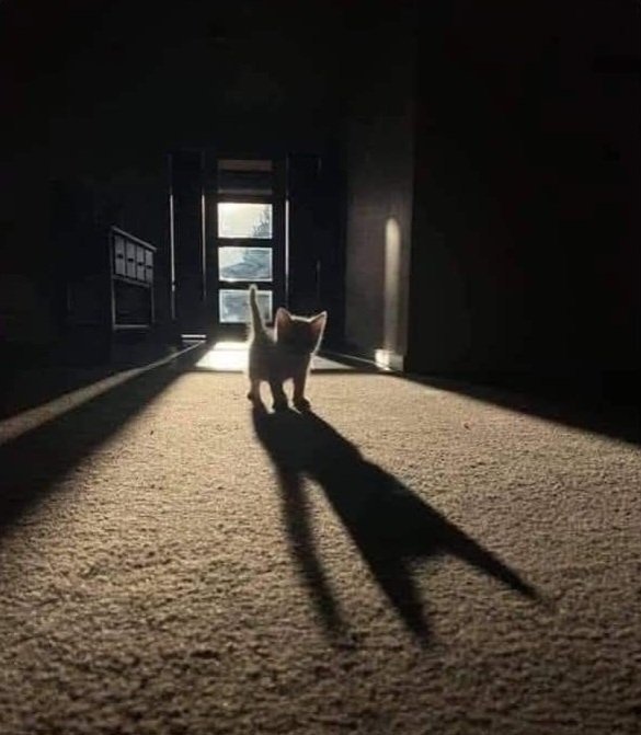 分享图片 ​​​