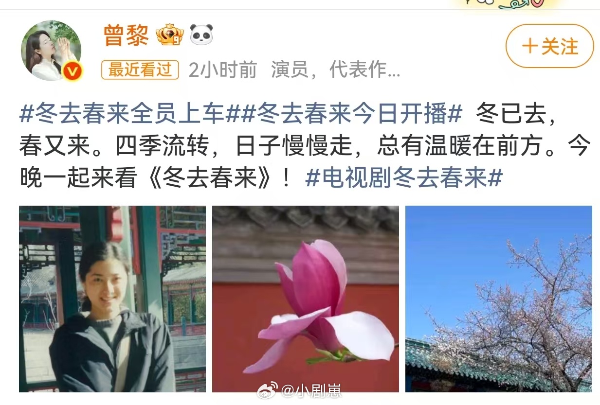 冬去春来今日开播 白宇、章若楠主演的年代剧终于播啦，阵容看着就舒服，今晚19:3