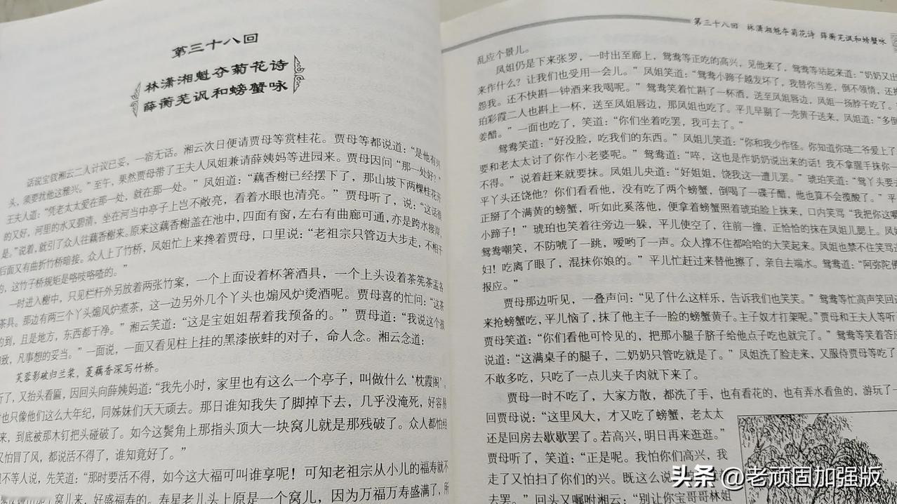 贾府的丫头总是摆不正位置，搞得主人没有主人样，仆人心高气傲。薛宝钗与史湘云为了菊