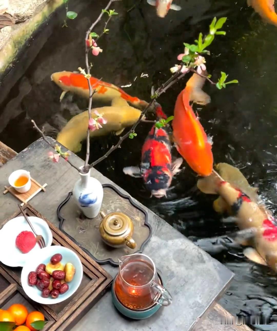 烟火里谋生，四季里谋爱，走心的忙碌，换安心的生活，不羡慕别人的成功，那是牺牲安逸