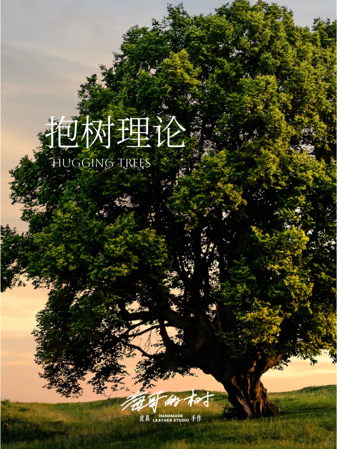 替大家试过了，“公园抱树效应”真的管用！