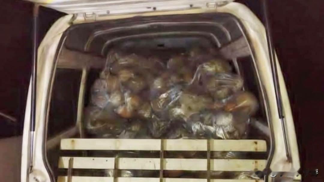 一辆运载1050公斤走私榴梿的货车，在马来西亚与泰国边境一处非法渡口遭执法人员拦