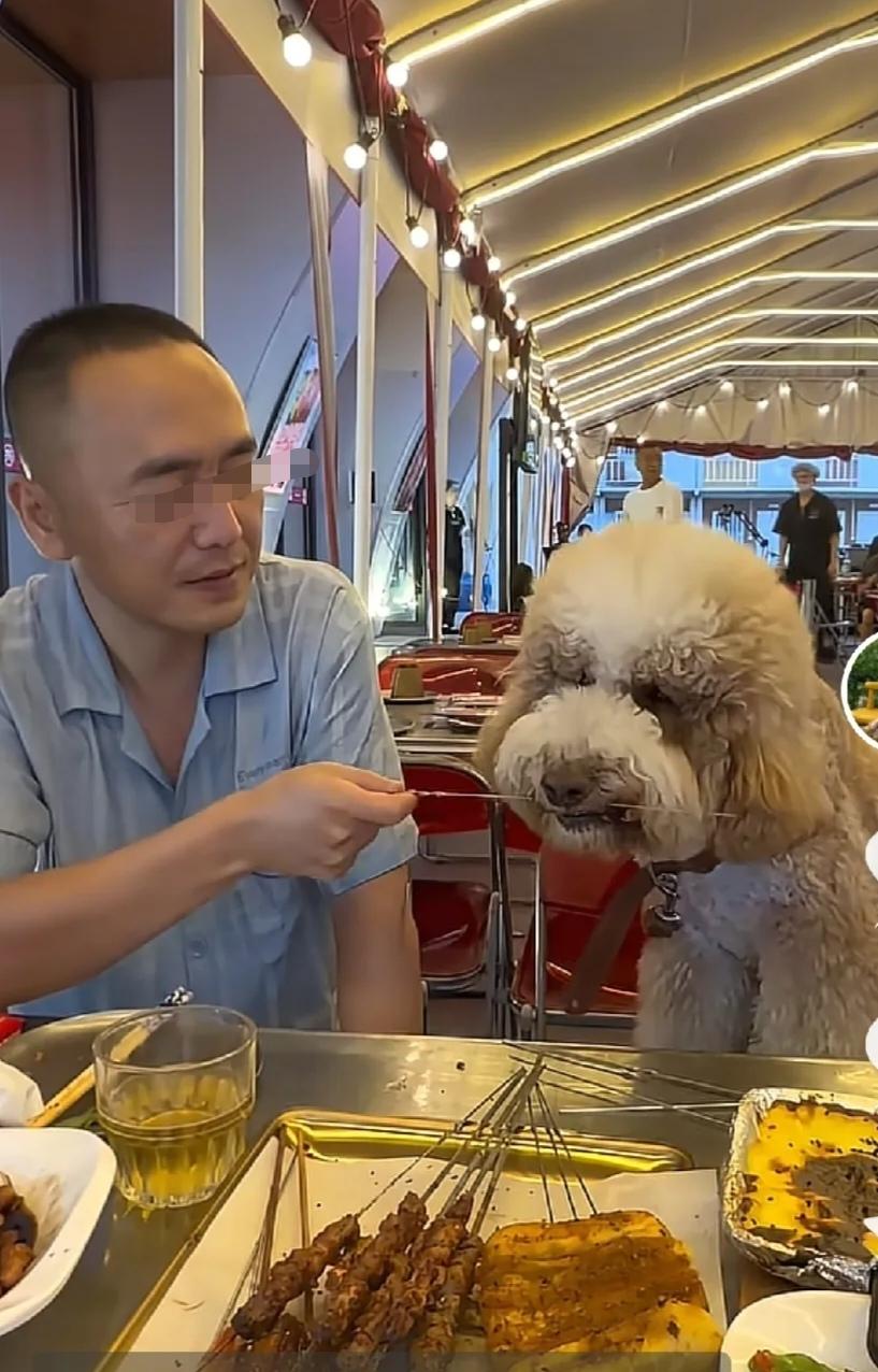 爱犬"入席"成了争议。包头萨拉齐镇潮某烤翅（萨）店外摆区。一个男子喝着小酒、吃着