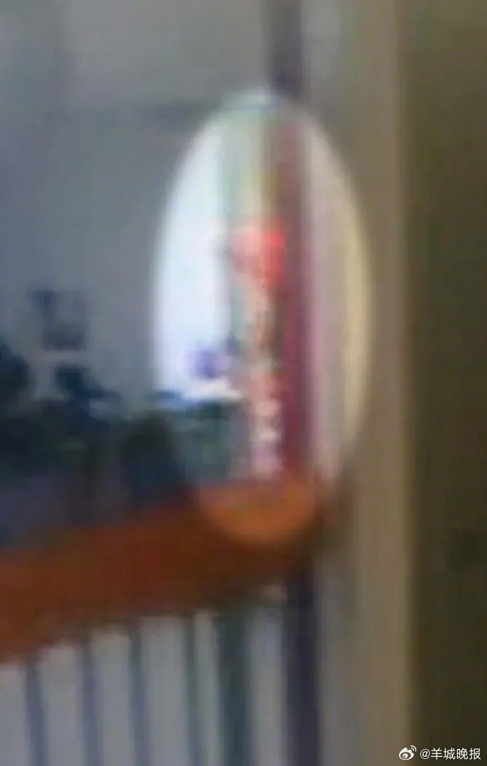 #专家认定爱泼斯坦案橙色身影像囚犯#【爱泼斯坦死亡当晚监控曝光：#爱泼斯坦死亡时