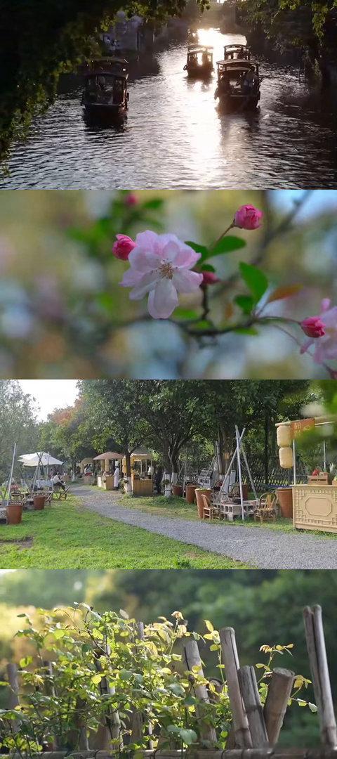 衢州人把文创卷出新高度衢州人用科技玩转乡村共富 情绪小院、音乐市集、美食工坊，衢