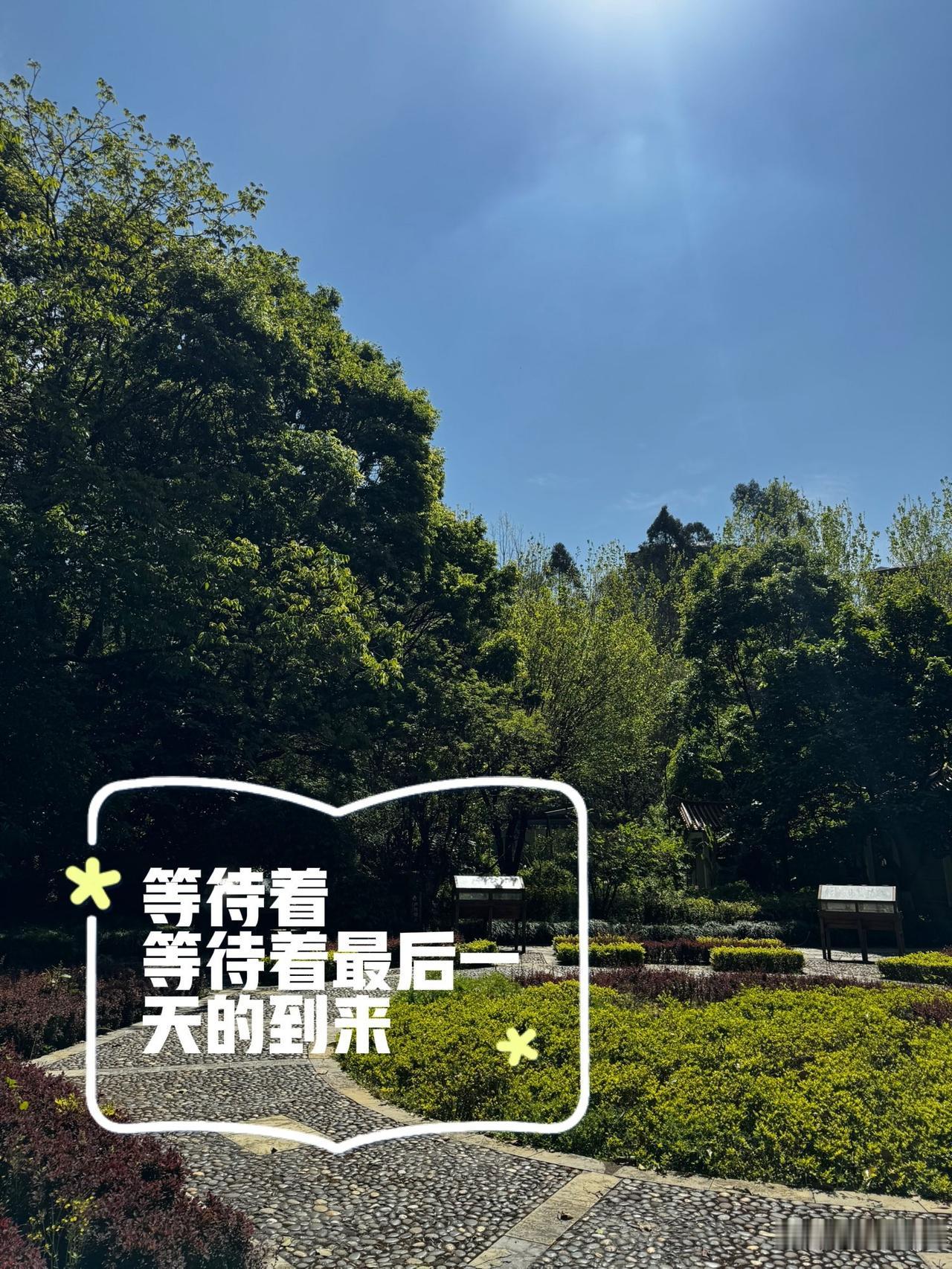 人老了，与社会的距离渐渐变远，许多人都深感孤独。

在这个世界上，老年人似乎只有