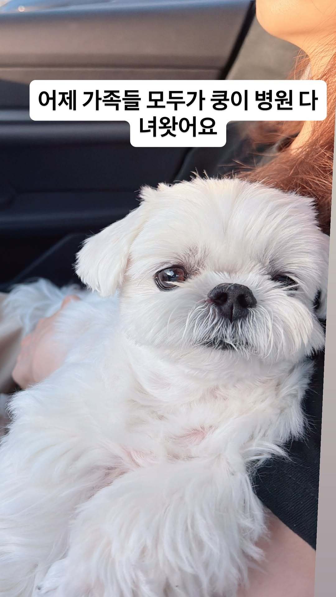 “CB百蓝_。260517利特 ins story更新：昨天全家人都去了趟心空的