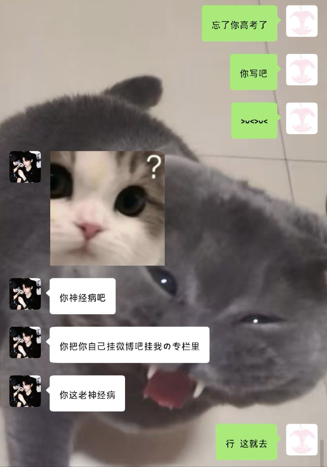 嘻嘻 真是不好意思 祝所有高考生考试顺利 旗开得胜加油蜜蜜我在沈阳等你你不考沈阳