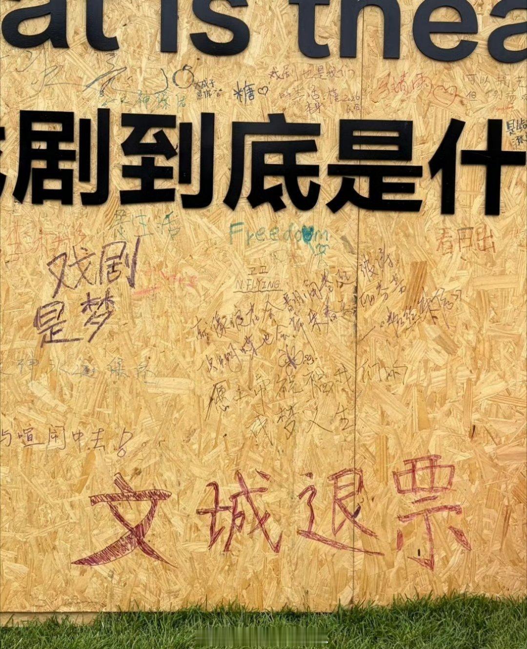 我不行了 文城的乐子越来越多了 