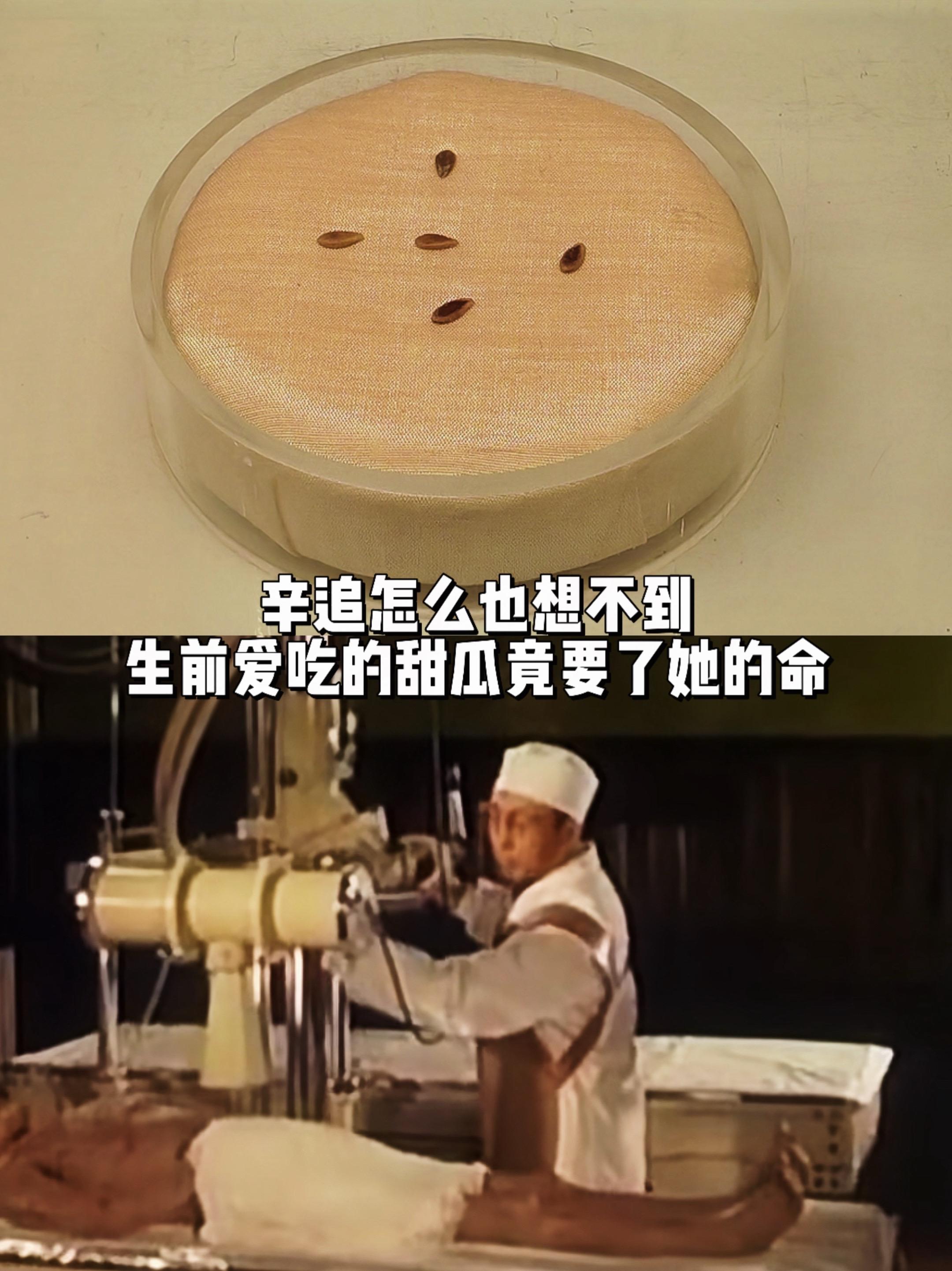 要不是这些保存下来，都不知汉代贵妇吃什么。辛追夫人的食管、胃中有138...