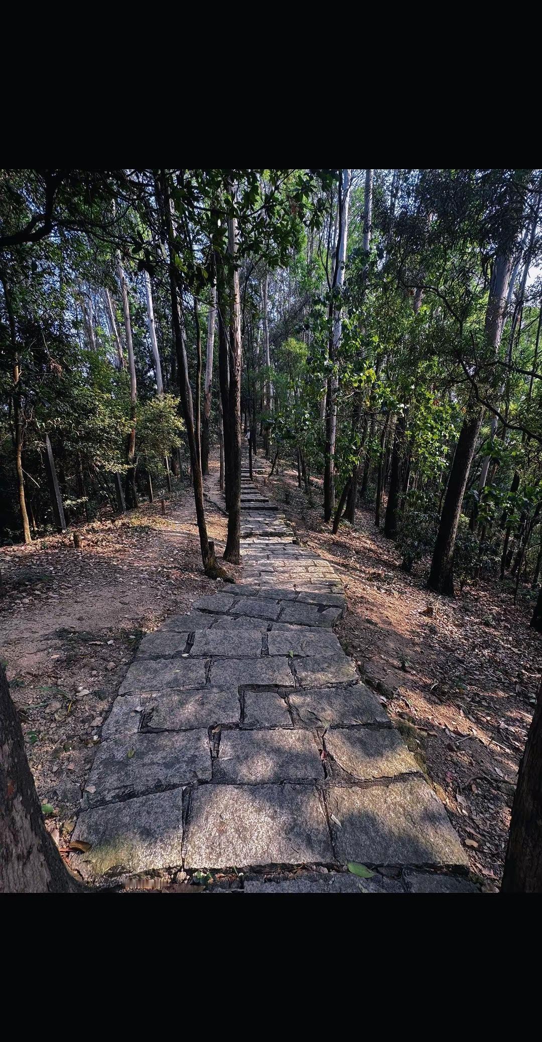 小众登山道分享。周末的最佳打开方式：钻进山里，充个绿色的电。大自然的美景 爬山推