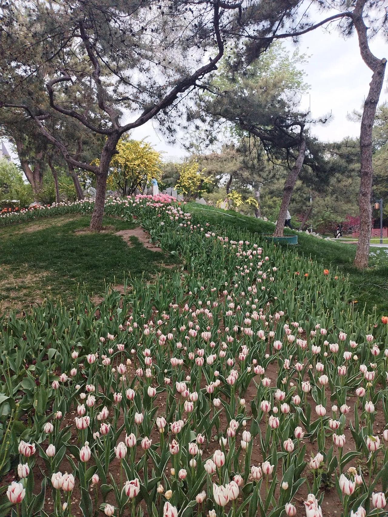 随手拍风景照