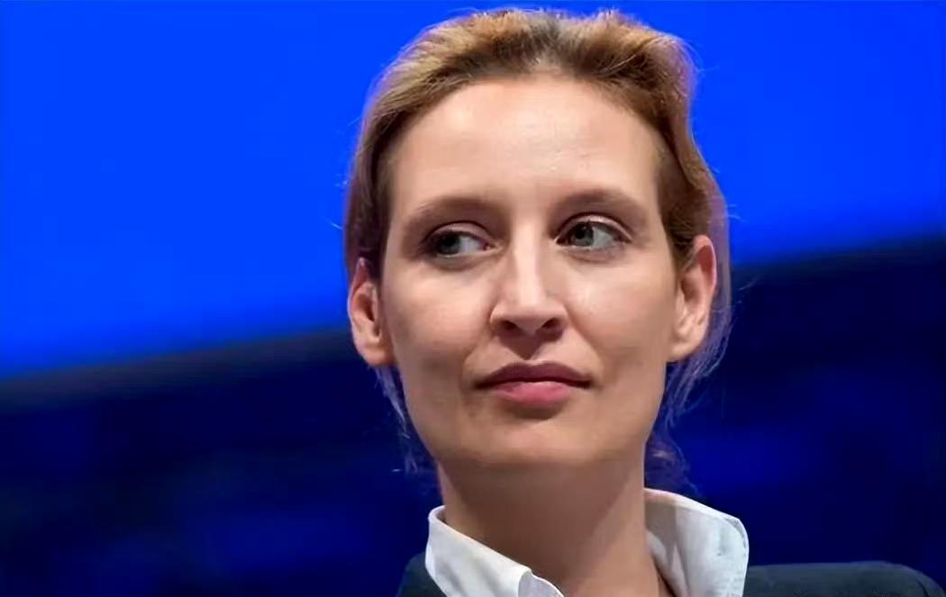 魏德尔说，北约保护格陵兰岛本身就是荒谬的逻辑。因为北约盟军总司令本身就是美国军人