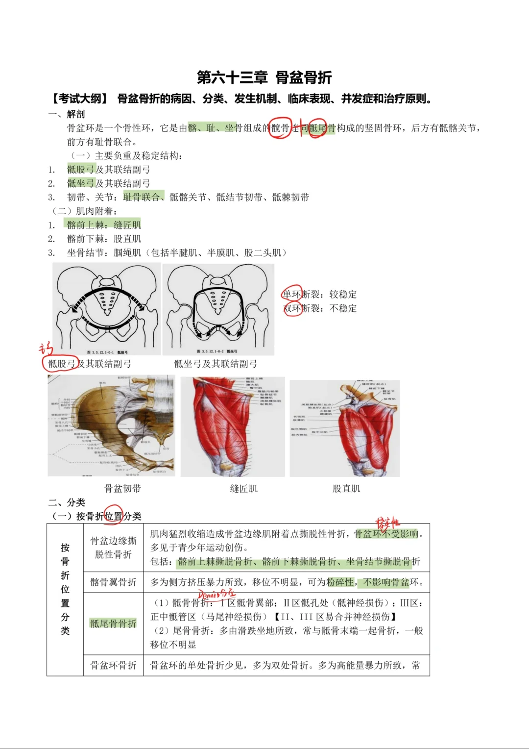 外科学-骨盆骨折