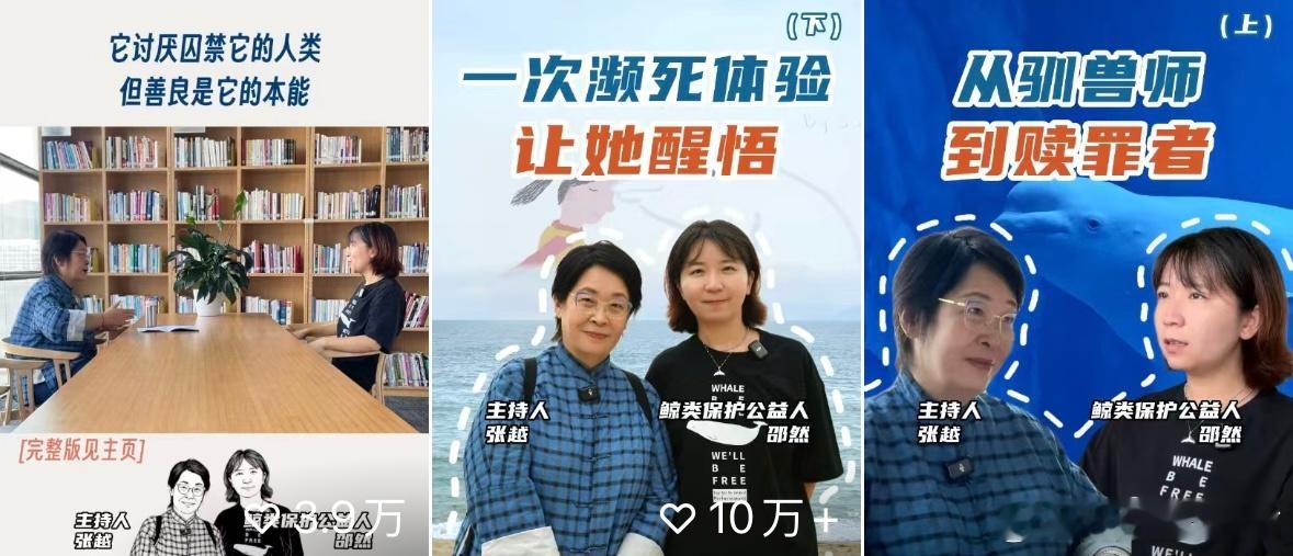 啊～一大早看主持人张越采访曾经的驯兽师邵然的视频，哭得稀里哗啦的我以为白鲸和驯兽