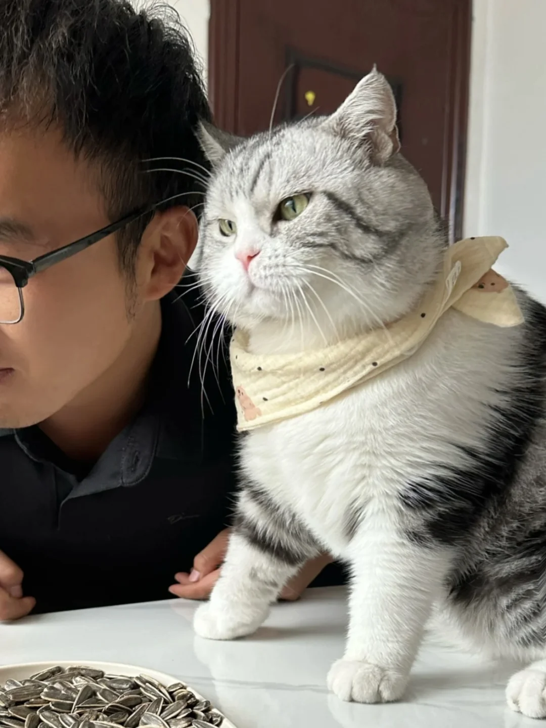 我弟喝多了让猫说他帅！