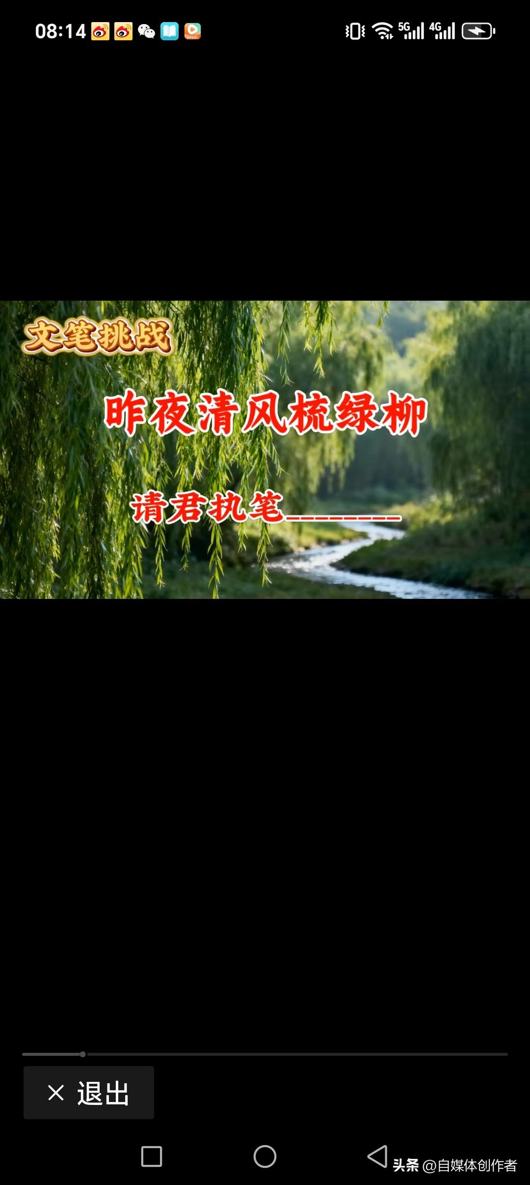 昨夜清风梳绿柳
今晨阳光普照圈