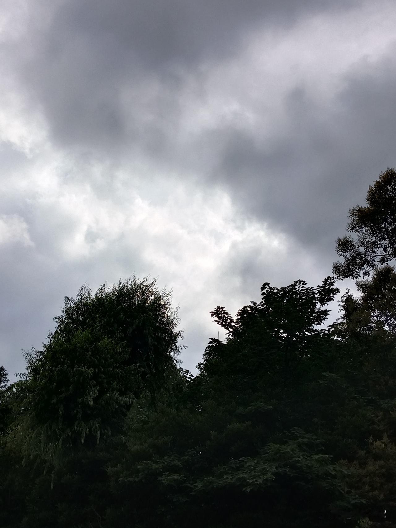 不止一回看到头条给出的热点题目，诸如如何评价某一大国领导人。通常我都会回避这类问