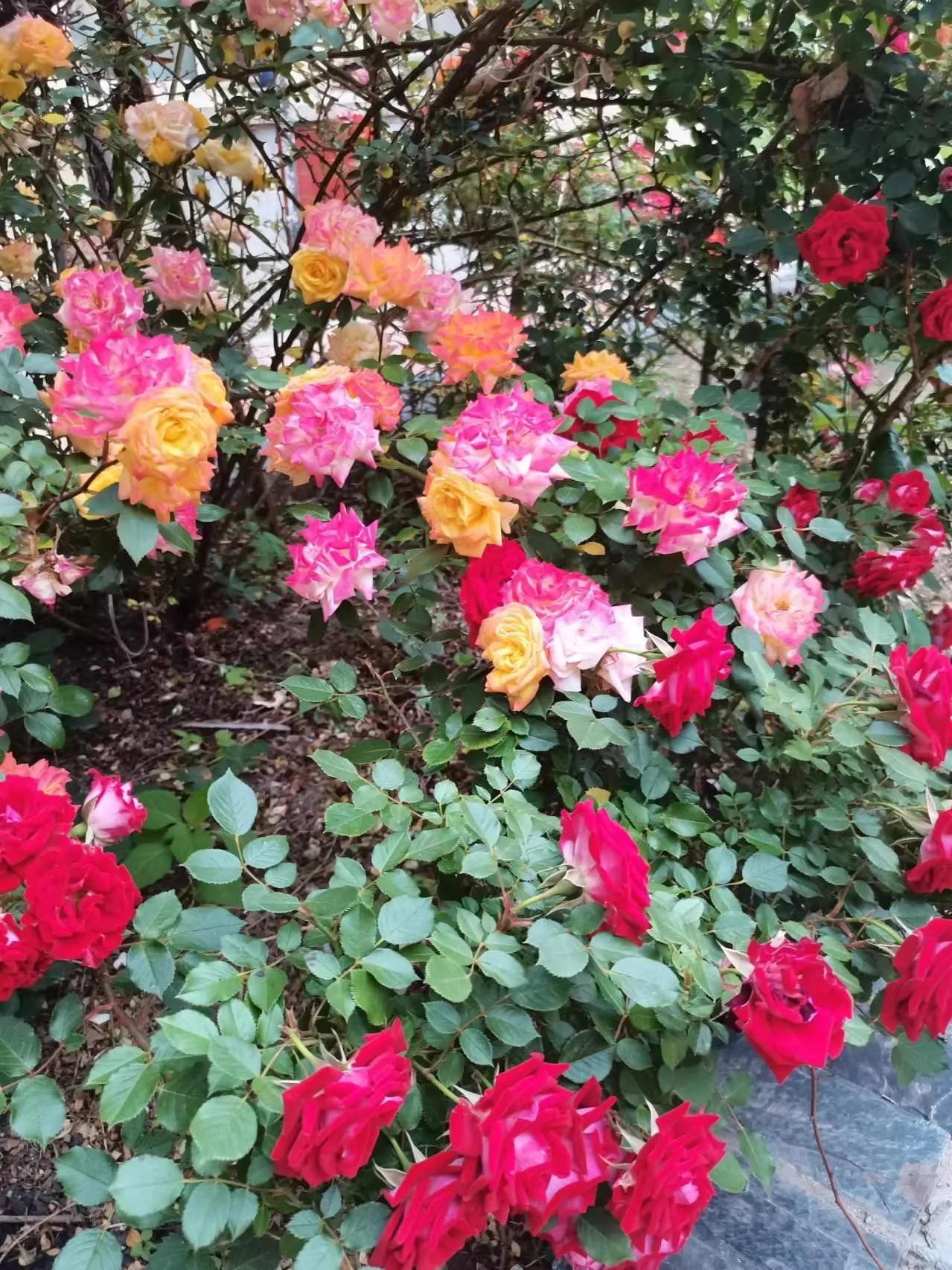 #一个正常的正经的女人有男闺蜜吗# 
个人以为，但凡一个正常的正经的女人是不会有