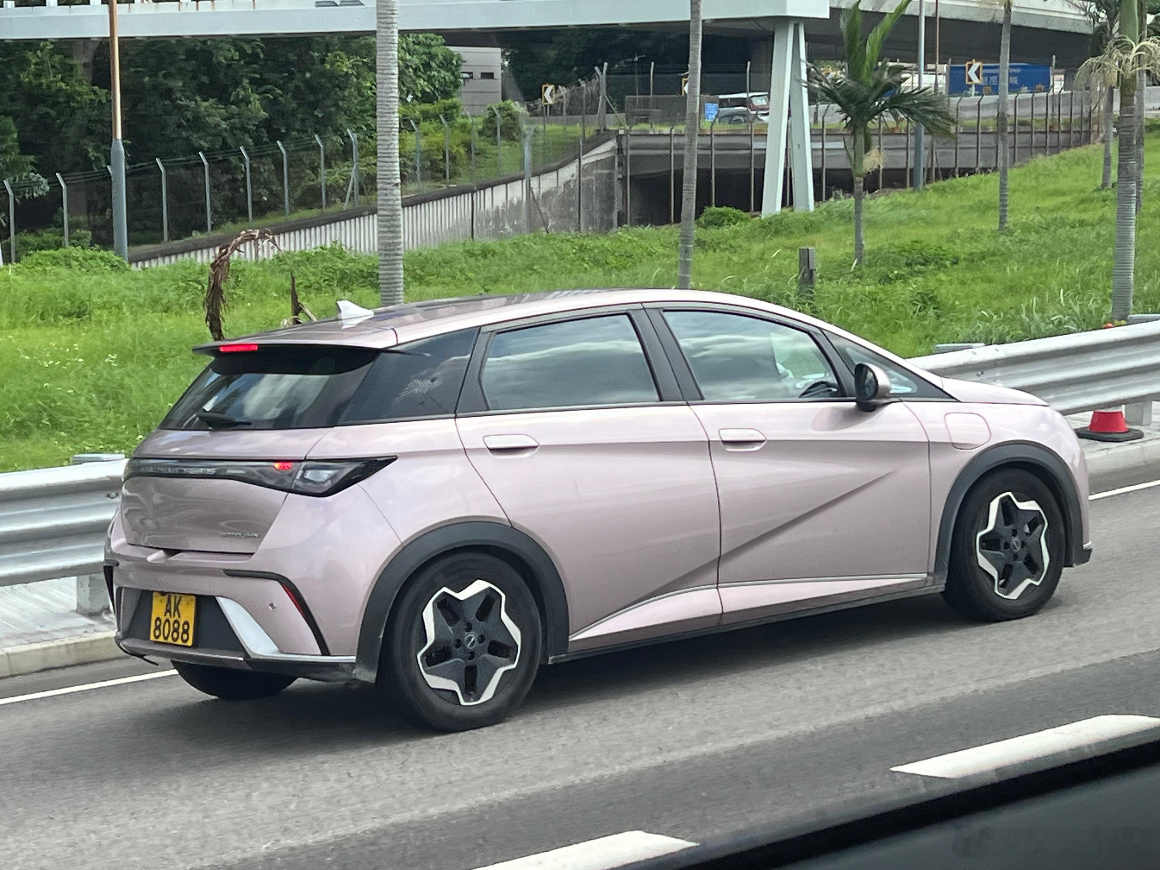 挂上港版，比亚迪海豚颜值即时加分！大v聊车