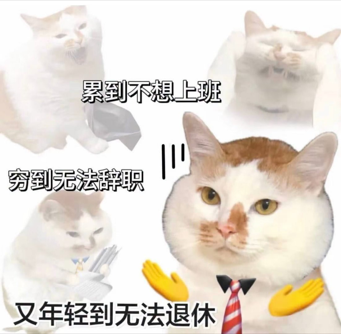 每日一善抖音直播 直播啦直播啦聊聊粤语区文化，港⭕️英语表达抖音号： xinta