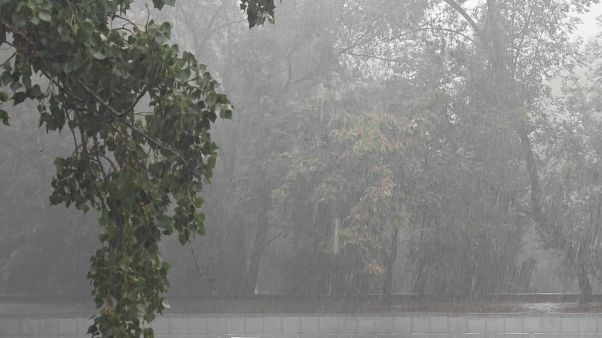 北京暴雨确实是暴雨，巨大[开学季] ​​​