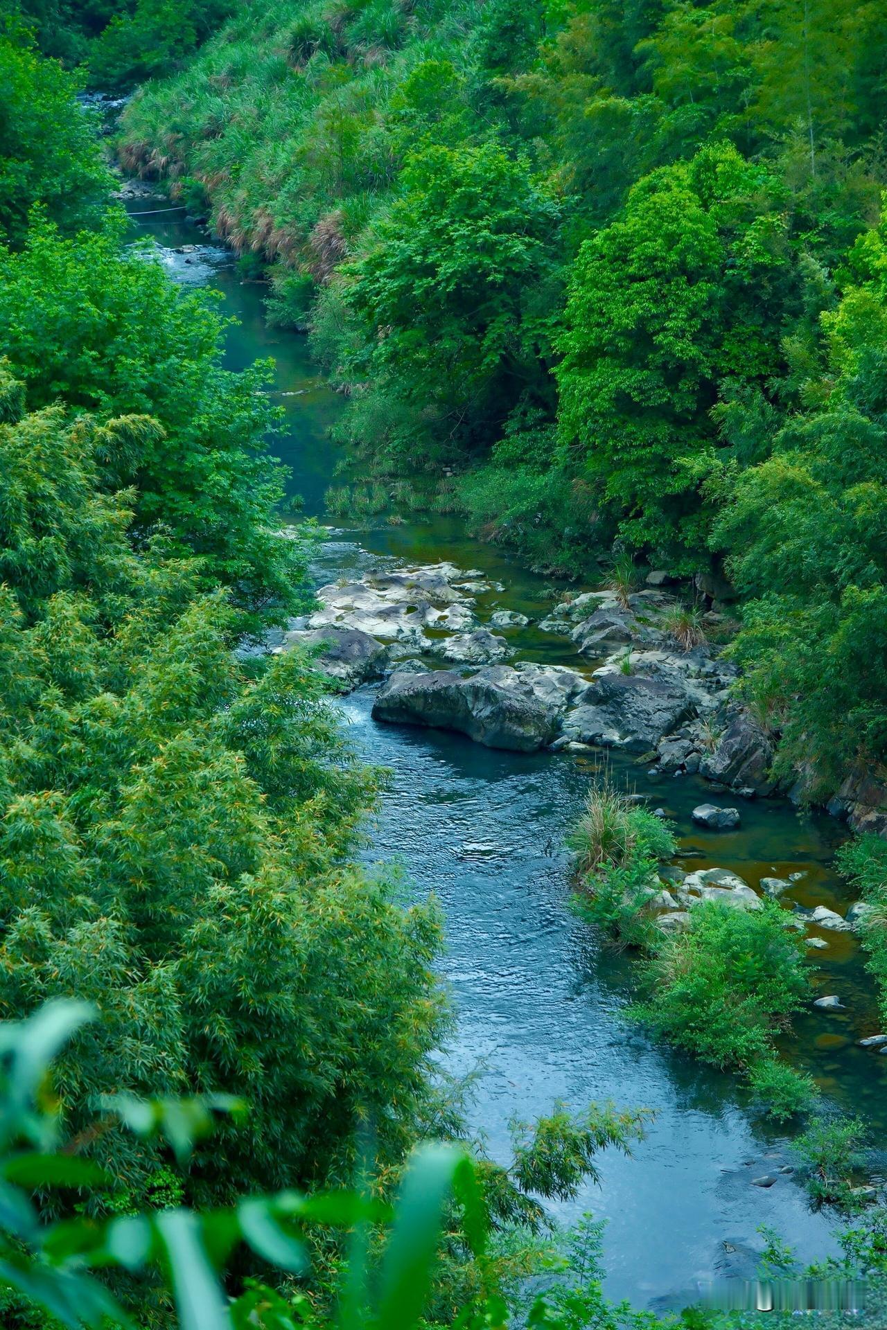 浙江桐庐马岭古道，美到你不想走的美好之所。
头上是苍翠的天空，
脚下是历史的故事