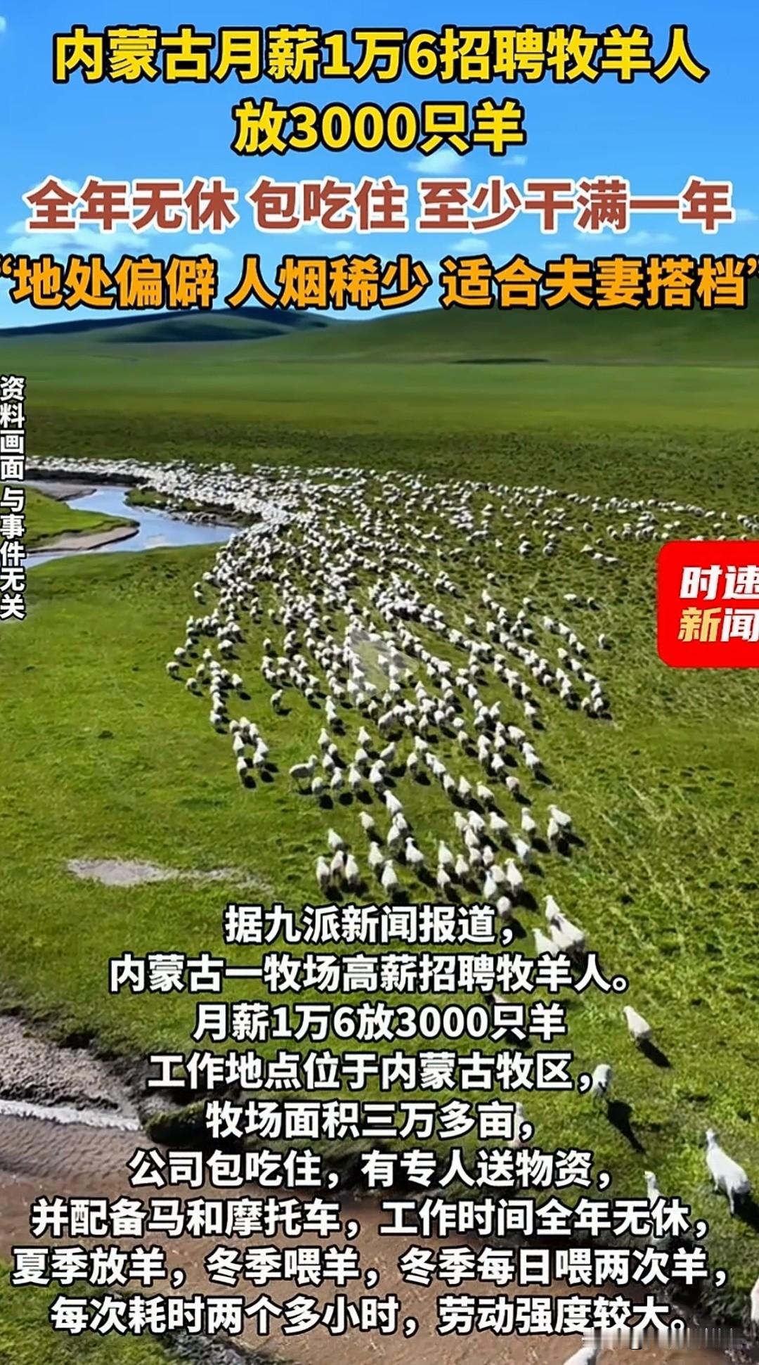 月薪1.6万草原放羊，老板却只招夫妻档
单身来应聘的，全被他一口回绝了，全网直接