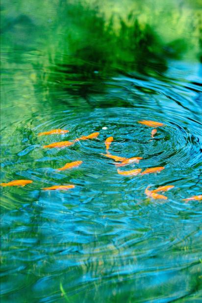 人世间

丈夫出门穿好衣
家中必有一贤妻
亲戚再亲少来往
朋友再好不共财
王八有