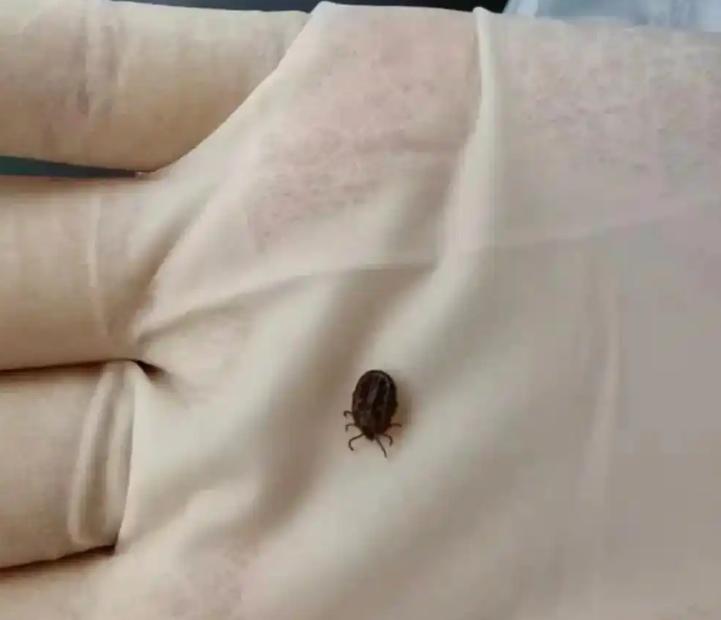 “悲剧还是发生了！”3月15日，湖南，一小孩和家人去外面玩耍之后，晚上家人发现小