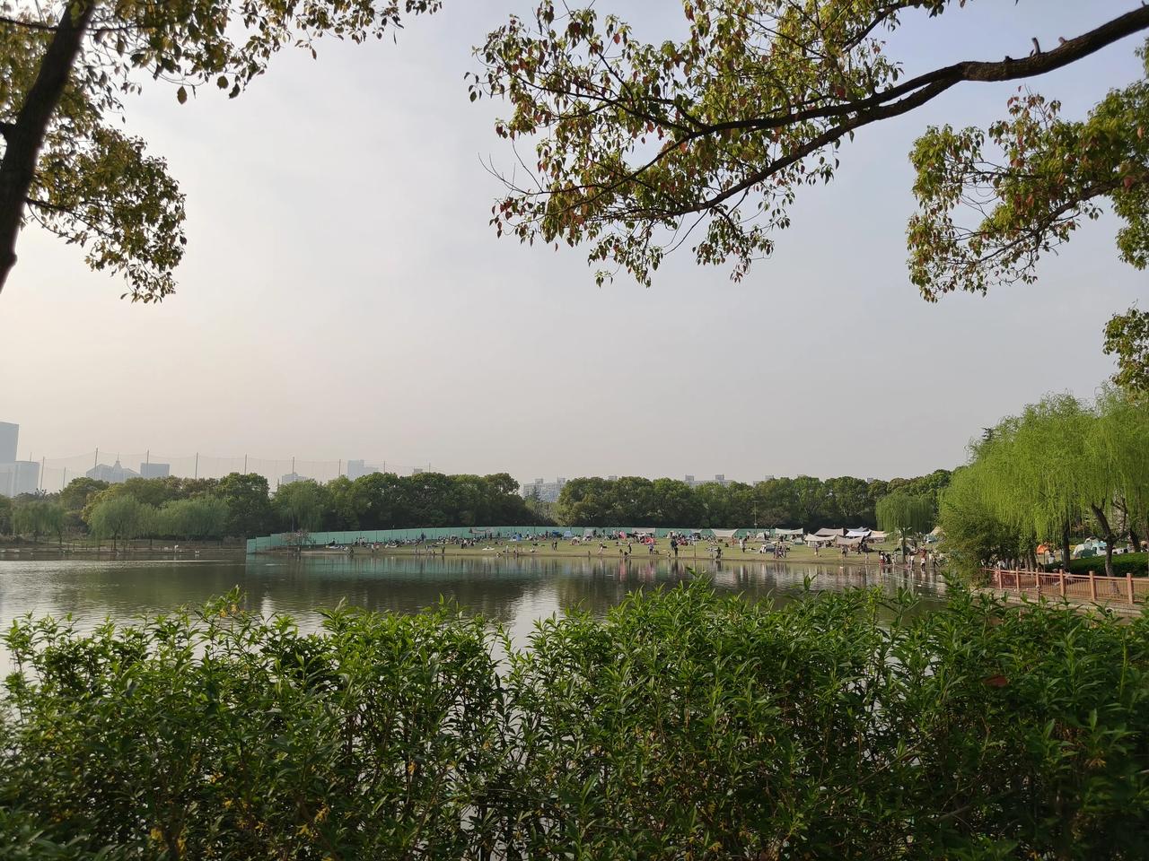 看看昨天午后在黄兴公园

拍到的花花草草…🌿🌿🌿🌿

黄兴公园目前在改建