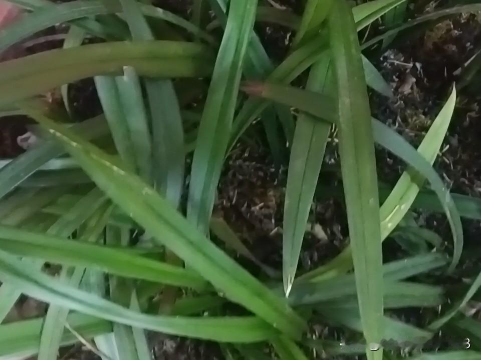 一个店员说，现在刷医保卡，太乱了，有时会被顾客怼的你月经不调。

“别人家都能刷