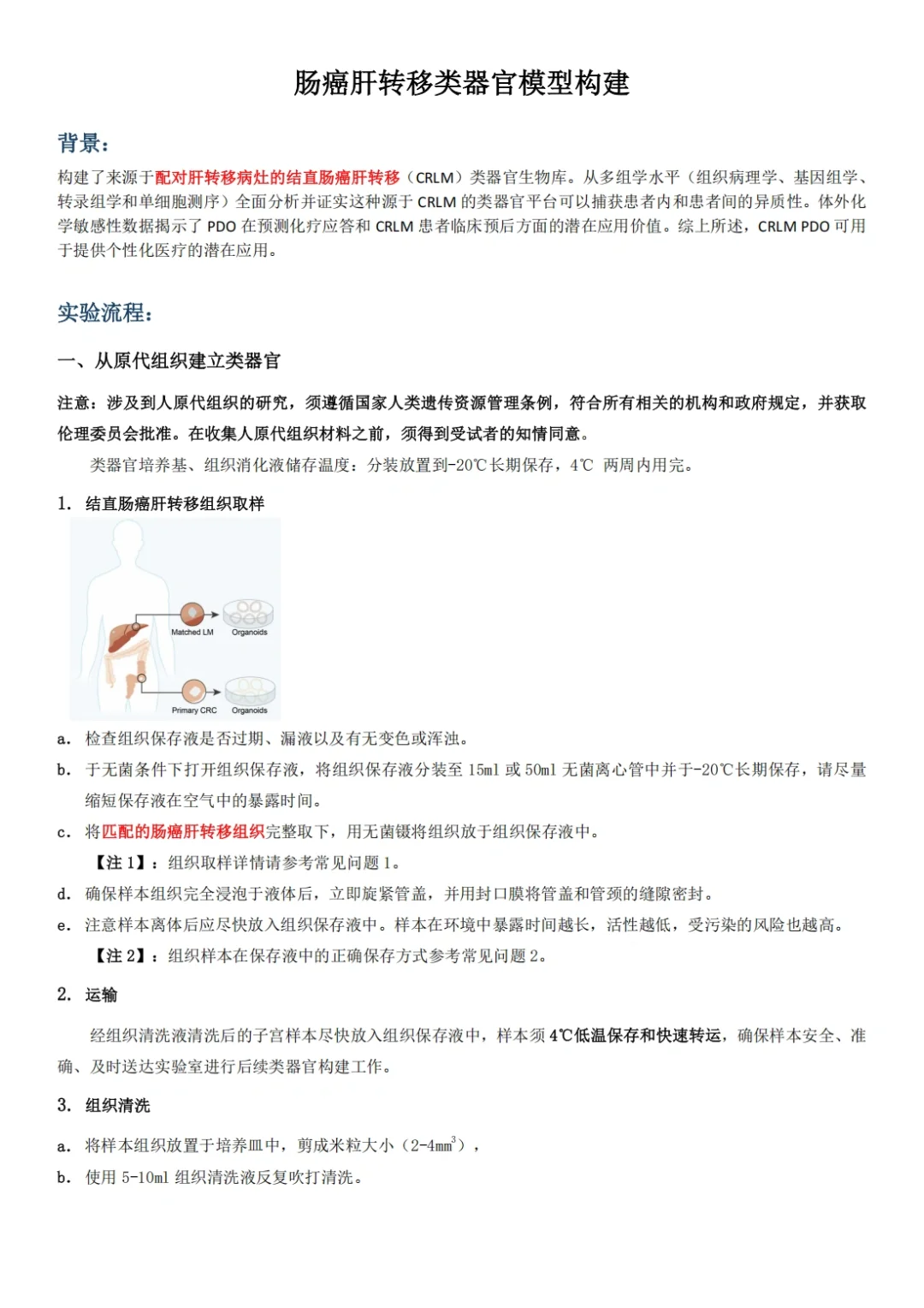 肠癌肝转移类器官模型构建Protocol