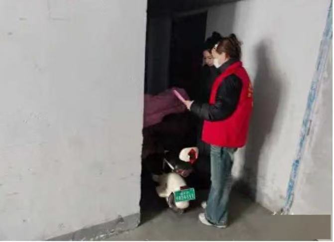 【暖冬守护社区行，安全“电”亮千万家】 大学生寒假社会实践  山东学子寒假社会实